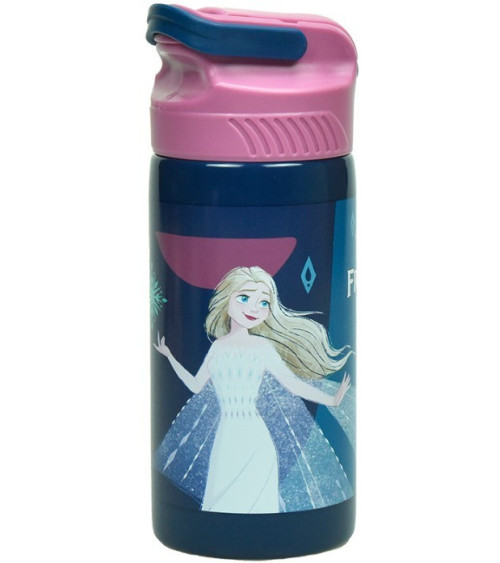 Παγούρι 500ml Gim Frozen Discover