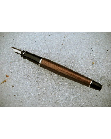 Πένα Waterman Expert City Line Urban Brown Fountain Pen