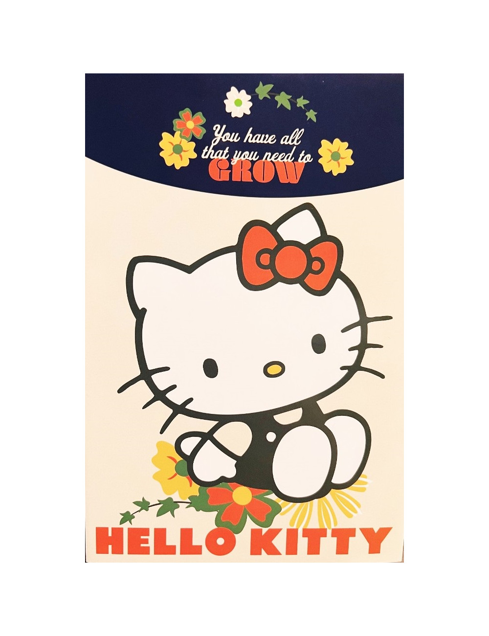 Τετράδιο Καρφίτσα Β5 40φ Gim Hello Kitty