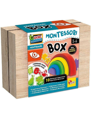 Μοντεσσόρι Lisciani Box Όραση