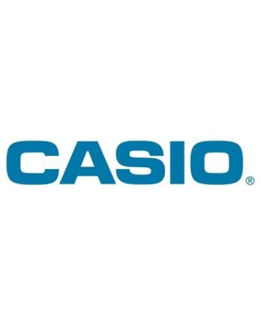 CASIO